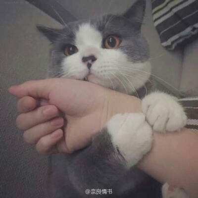 情剑奇缘百度手游下载